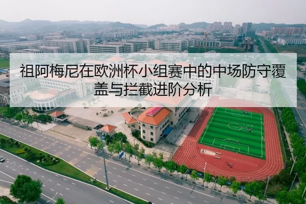 祖阿梅尼在欧洲杯小组赛中的中场防守覆盖与拦截进阶分析